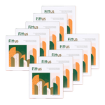 Load image into Gallery viewer, Fittus Value Combo-10 Boxes